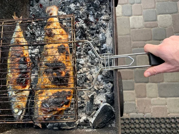 Ψήνω Ψάρια Πικνίκ Ψήνοντας Σολομό Και Σκουμπρί Κάρβουνο Στην Αυλή — Φωτογραφία Αρχείου