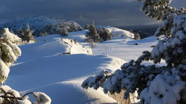 Kış Sandfjord, Norveç