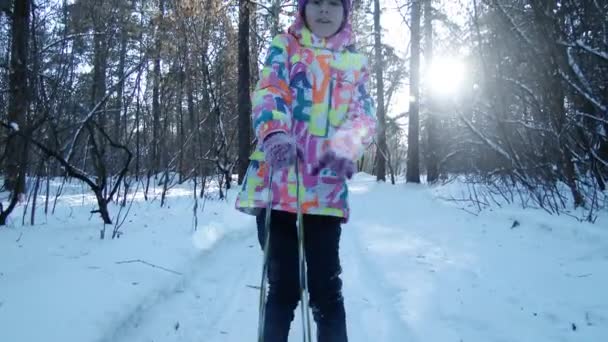 Jeune fille traîneau dans le parc d'hiver, jouer dans les boules de neige, ralenti, 4K, UHD, UltraHD — Video