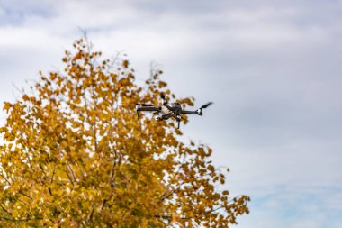 Arka planda sonbahar ağacı olan uçan dron