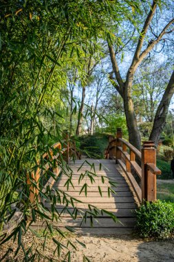 Önünde yeşil yapraklar olan parktaki küçük tahta köprü.