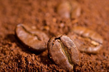 Kahve çekirdekleri topraklı kahve, makro yakın çekim sıcağında.