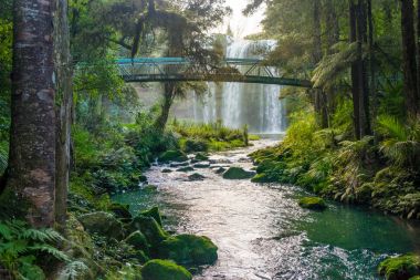 Magical Whangarei Falls clipart