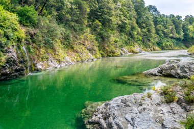 Güzel açık Pelorus Nehri,