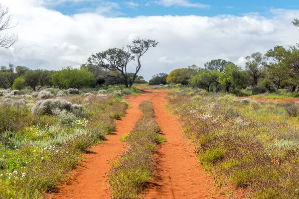 Χωματόδρομο στο Αυστραλιανό outback — Φωτογραφία Αρχείου
