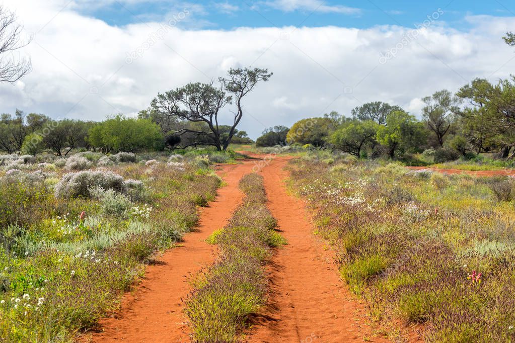 Dust road in australian outback