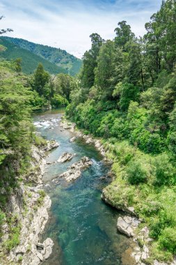 Güzel yeşil ve açık pelorus nehir, film hobit bilinen. South Island, Yeni Zelanda