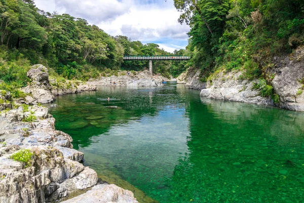 Güzel yeşil ve açık pelorus nehir, film hobit bilinen. South Island, Yeni Zelanda