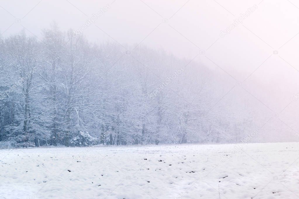 High key scenery with field and forest during the snow storm