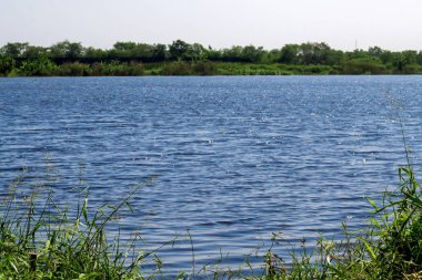 Bangkok 'taki Mavi Göl