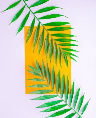 Turuncu arka planda dallar, palmiye yaprakları. Kopyalama alanı olan üst görünüm. Dikey fotoğraf