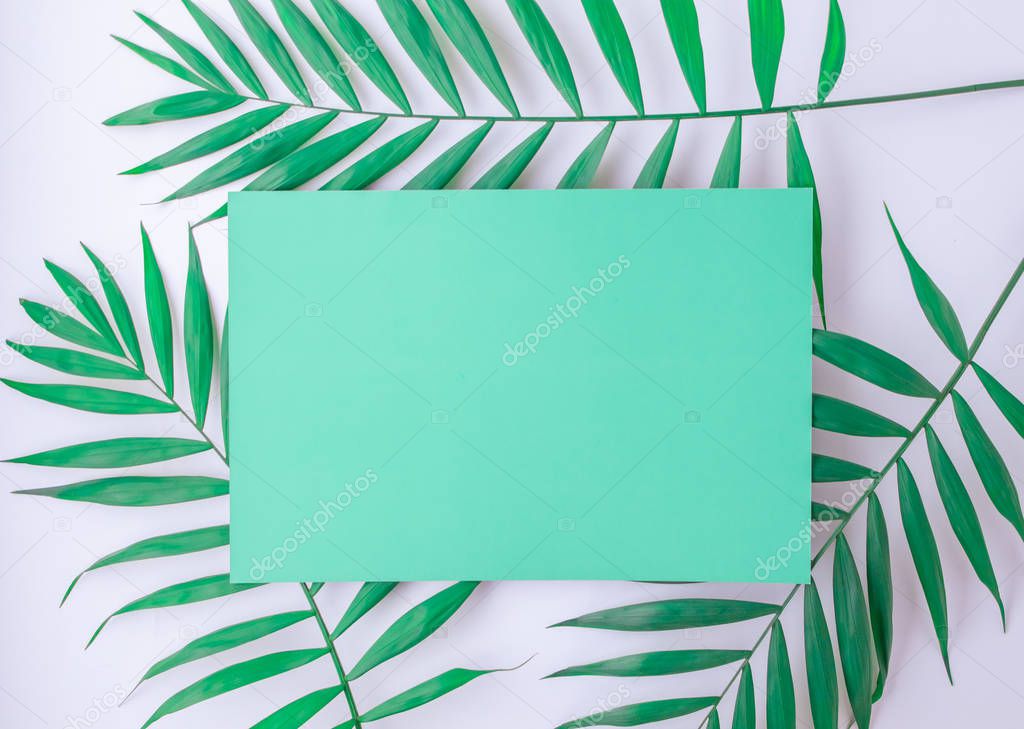turquoise blue layout with tropical palm leaves on a white background