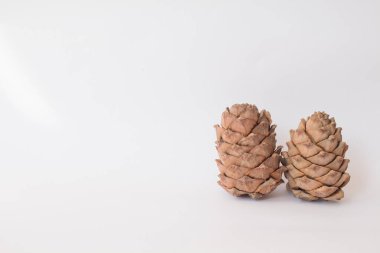 Beyaz arka planda noel çam kozalağı. Üst Manzara. Model.