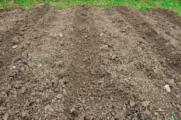 Pequena Horta Terra Preparada Para Plantar Saladas Verdes Conceito Jardinagem — Fotografia de Stock