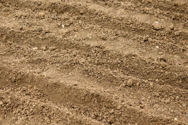 Terreno Fértil Nas Camas Jardim Casa Close Conceito Jardinagem — Fotografia de Stock