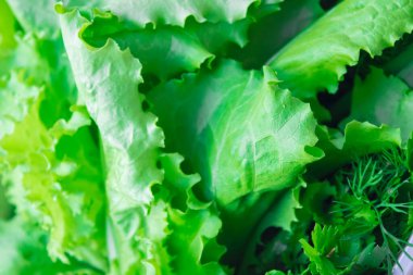 Taze yeşillikleri sebze bahçesi salatası, dereotu, maydanoz, soğanları beyaz mermer masada fotokopi alanı ile karıştır..