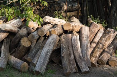 Kırsal kesimdeki kütük yığını gibi. Banyo için yakacak odun topluyorum. Yuvarlak kütükleri çatlaklarla kurut.
