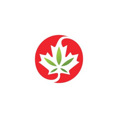 Kenevir yaprağı dispanserleri ve Kanada 'dan gelen şirket için Canadian kenevir logo vektör ikonu çizimi