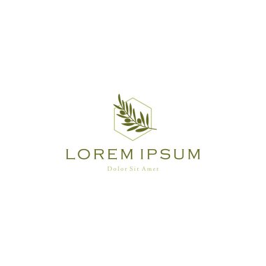 Zeytin yağı dalı logo vektör simgesi illüstrasyonu