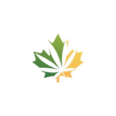 Kenevir yaprağı dispanserleri ve Kanada 'dan gelen şirket için Canadian kenevir logo vektör ikonu çizimi