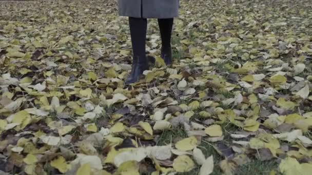 Kvinna Går Långsamt Genom Höstparken Närbild Vackert Gult Lövverk Hösten — Stockvideo