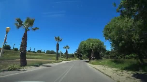 车辆沿着空旷的街道行驶 Pov Car Driving Palm Lined Road Summer — 图库视频影像