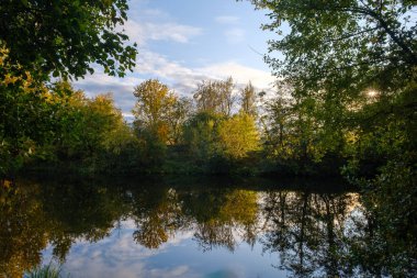 Beautiful multi-colored foliage on trees on the coast of a lake with blue water and clouds in the sky