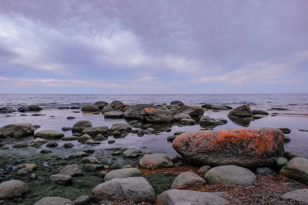Валуни на морському березі. Дикий скелястий берег в похмурий день. Фауні — стокове фото