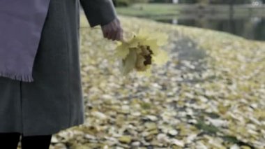 Kadın elinde bir buket sarı yaprakla sonbahar parkında yürüyor. Yaprak düşüşü başlıyor.