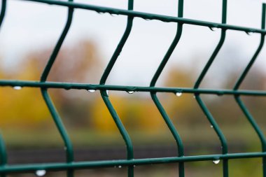 Metal ızgarada yağmur damlaları. Yeşil metal çit, yakın plan..