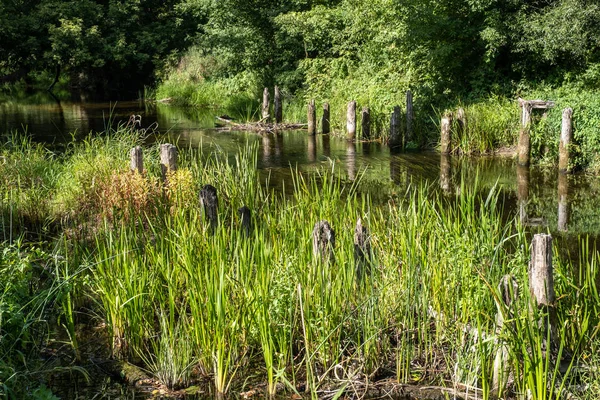 Überreste der Brücke, Holzpfähle ragen aus dem Wasser. — Stockfoto