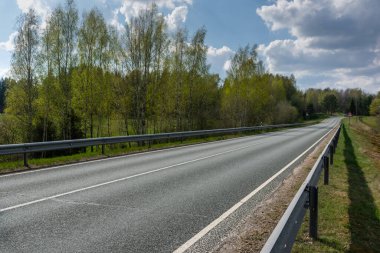 Ormana giden asfalt yol. Güneşli bir günde orman yolu. Kırsal alan.