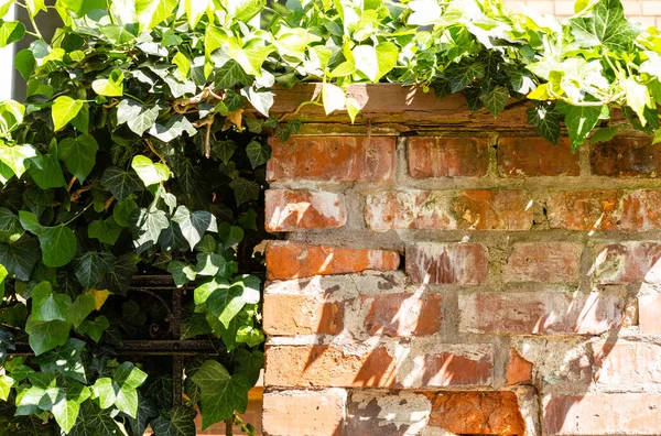 Fragments of the old fence and wall. Stones and bricks. Real estate fence. Architectural details. Chipped bricks. Wild vegetation.