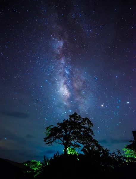 Nuit avec la Voie lactée — Photo