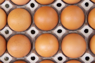 Karton bir kabın içine tıkılmış taze kırsal kahverengi yumurtalar