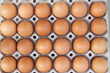 Karton bir kabın içine tıkılmış taze kırsal kahverengi yumurtalar