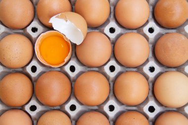 Kahverengi tavuk yumurtaları kağıt tepside. Bir kahverengi yumurta var.