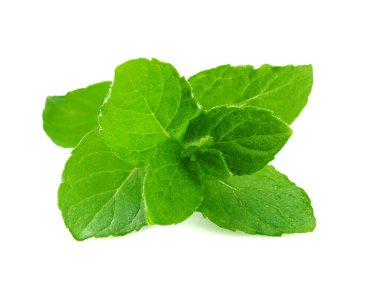 Beyaz grupta izole edilmiş taze nane şekeri