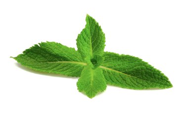 beyaz arkaplanda izole edilmiş taze nane