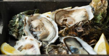 Koyu arkaplanda limonlu taze istiridye.