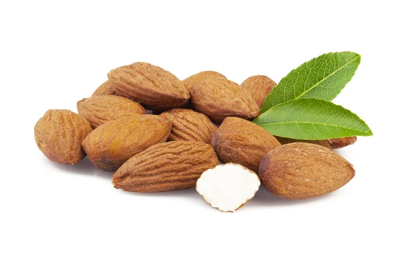 Almond Leaves Isolated White Backgroun — Stock Photo, Image