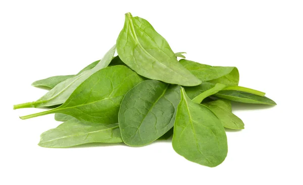 Fresh Spinach Leaves Isolated White Backgroun — Stock Photo, Image