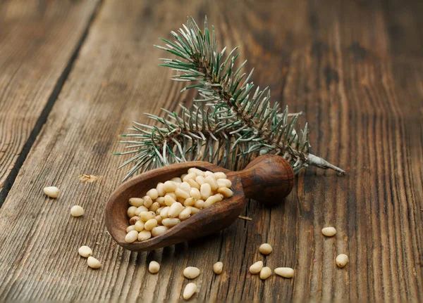 Pine Nuts Spoon Sprig Wooden Backgroun — Stock Photo, Image