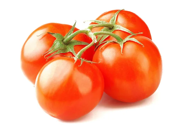 Reife Tomaten Isoliert Auf Weißem Hintergrund — Stockfoto