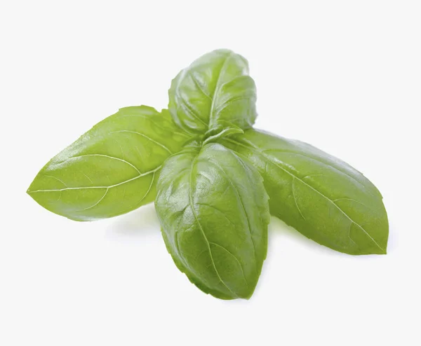 Fresh Basil Leaves Isolated White Background — Stock Photo, Image