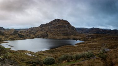 La Toreadora 'dan El Cajas Ulusal Parkı' na. Uzakta birçok göl, kayalık dağlar ve alçak bitki örtüsü görebilirsiniz. Islak ve sisli bir hava, tipik boş araziler. Azuay, Ekvador