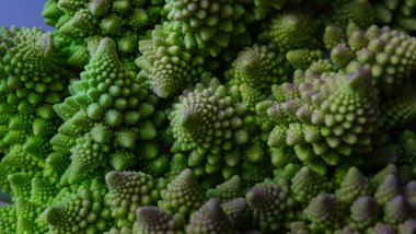 Romanesco brokoli yakın çekim. 