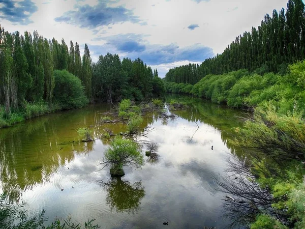 Fluxo de um rio rodeado de vegetação, árvores , — Fotografia de Stock