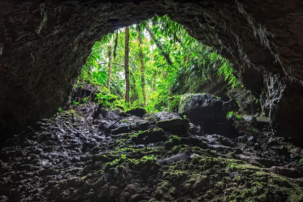 Vapor Niebla Sobre Lago Ven Grandes Piedras Bosque Lleno Árboles —  Fotos de Stock