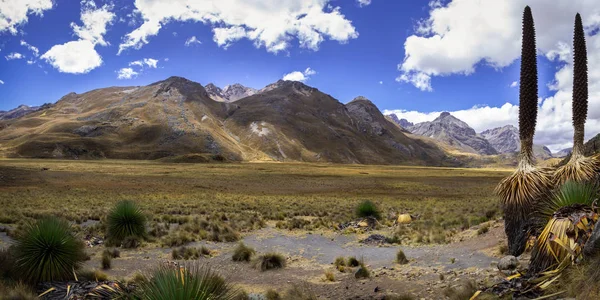 Isolated landscape in The Andes mountain range, Ancash, Peru — Stock Photo, Image